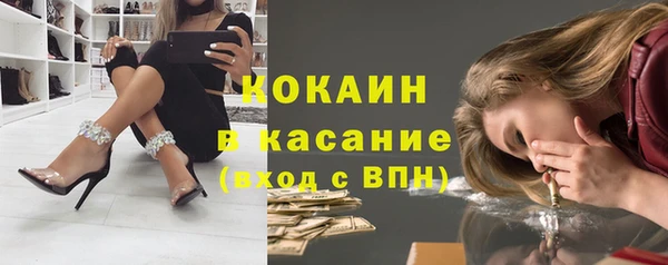 твердый Лиски
