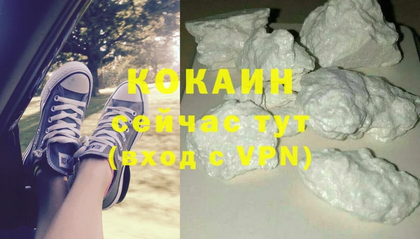 твердый Лиски