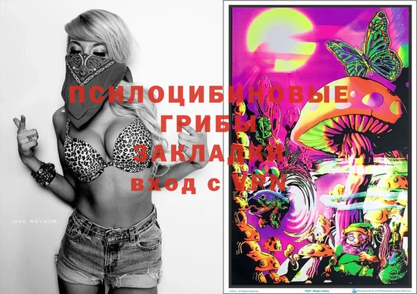 таблы Саяногорск