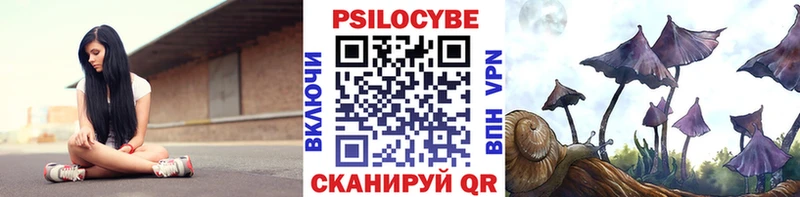где продают наркотики  МЕГА зеркало  Галлюциногенные грибы мицелий  Усмань 